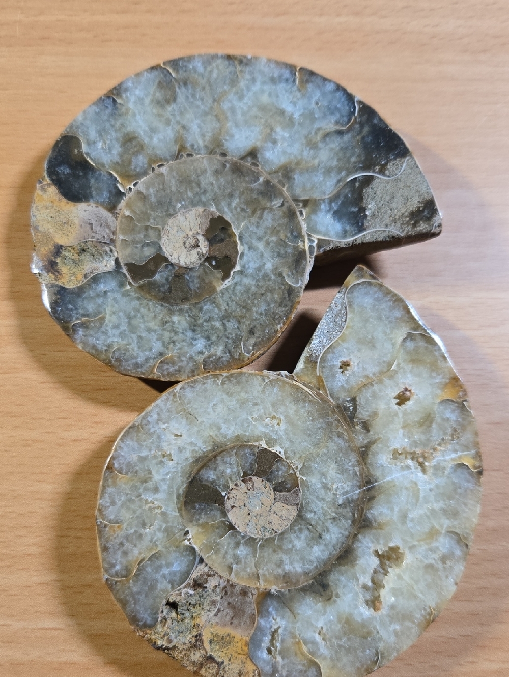 Polished Ammonite Fossil Pair, With Calcite